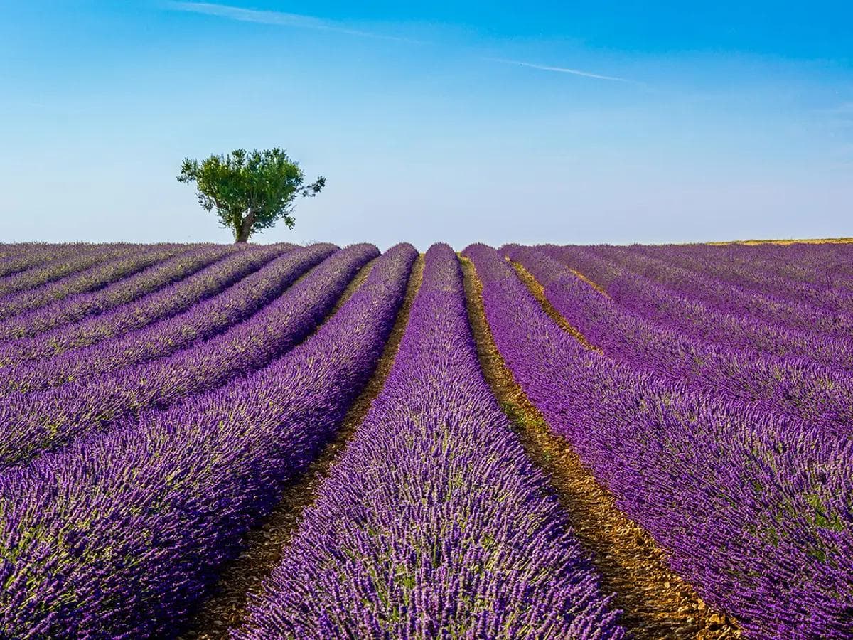 Pays de Provence
